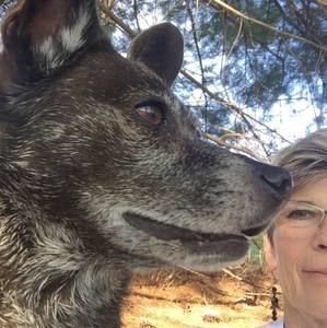 Meet your Posher, Darlene